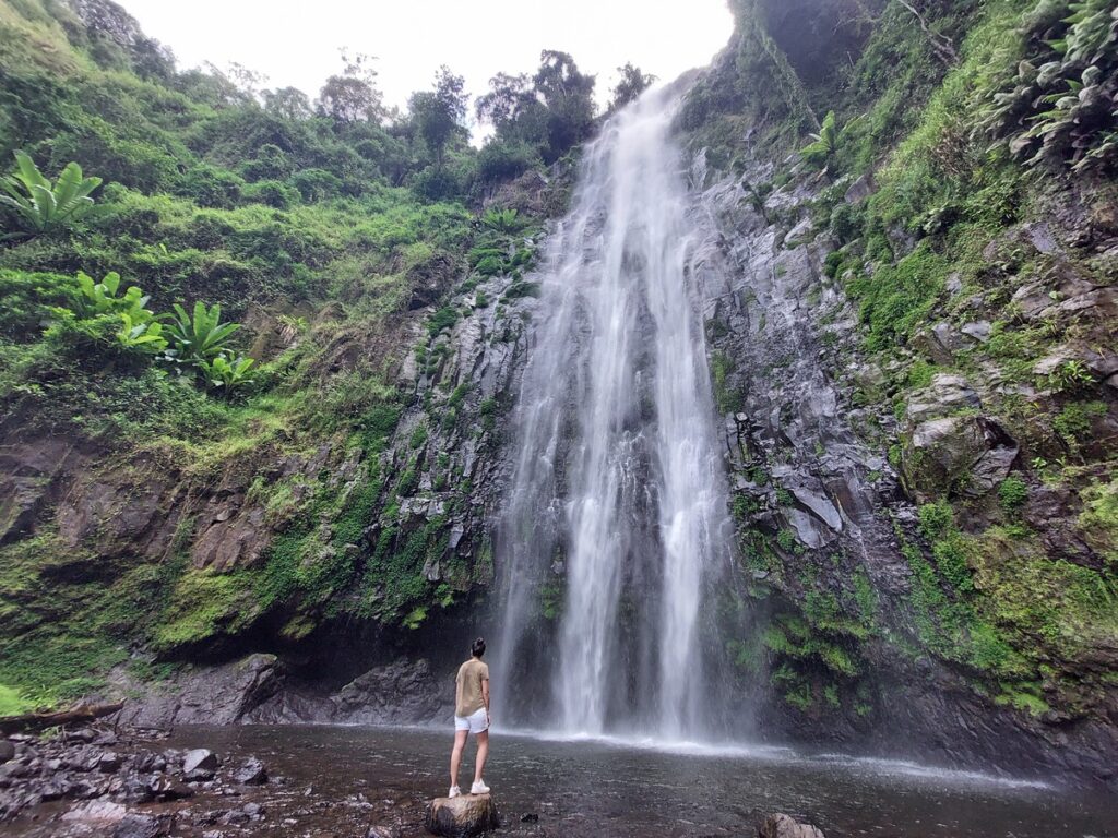 Kilimanjaro hiking